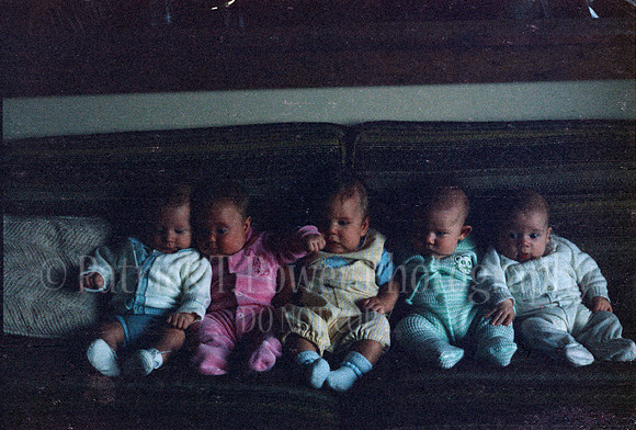 1985NikkormatFTN_03_11