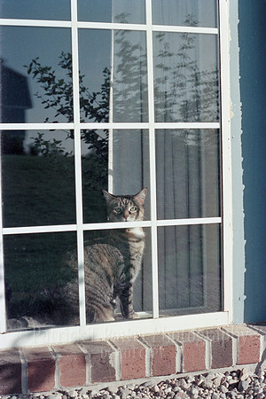 1985NikkormatFTN_06_19