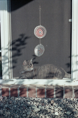 1985NikkormatFTN_06_20