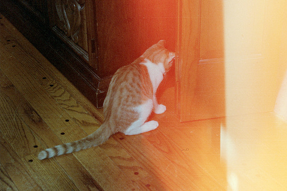 1986NikkormatFTN_08_35