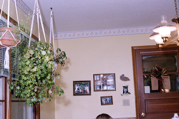 1986NikkormatFTN_08_18