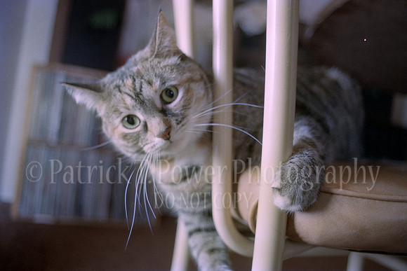 19860217NikkormatFTN_09_25