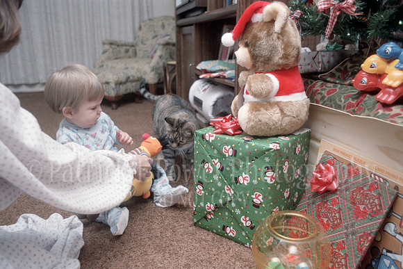 19851225NikkormatFTN_09_13
