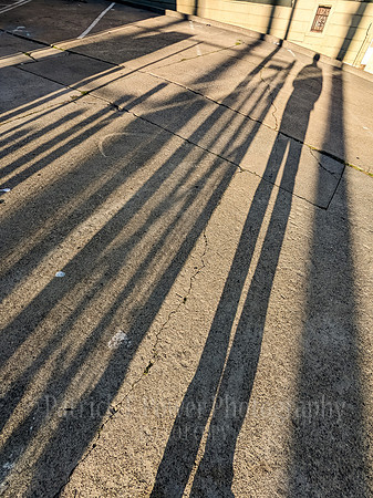20230308_165957408Edit
