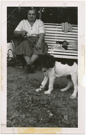 Family195